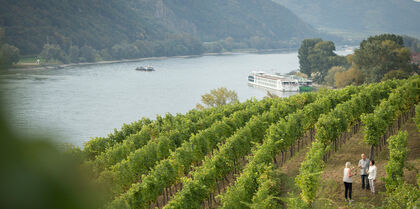 Winery on the Rhine river