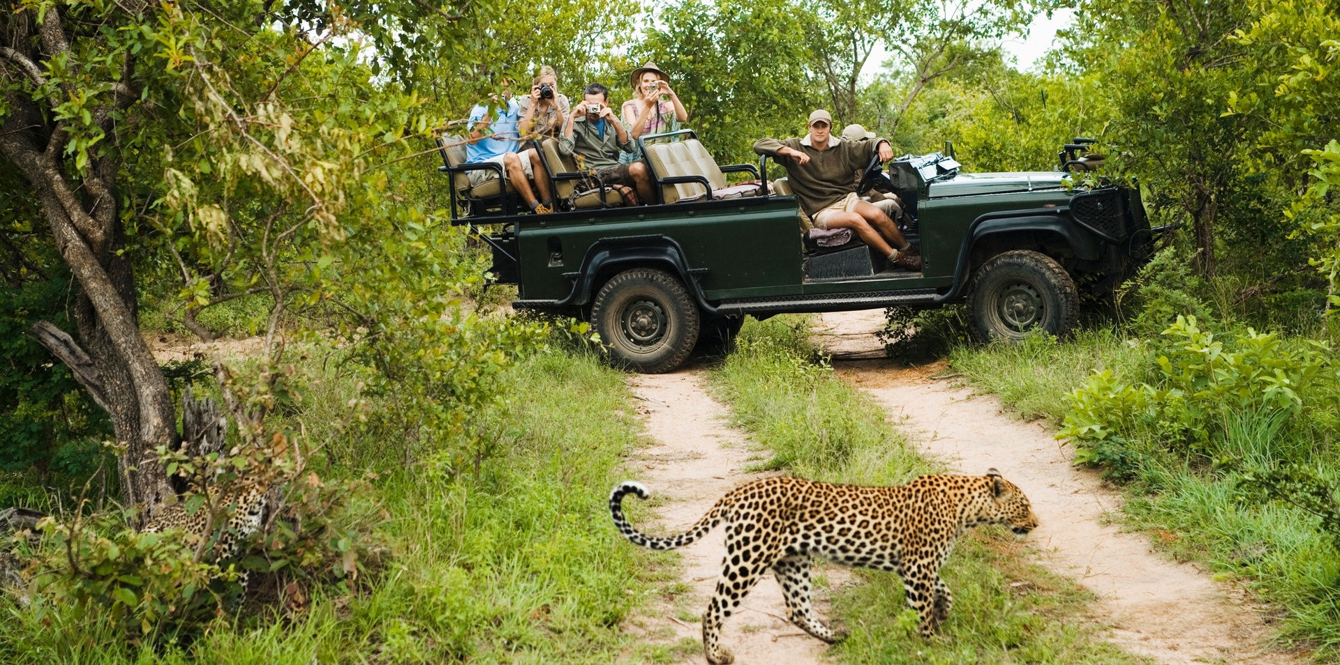 Spectacular Southern Africa